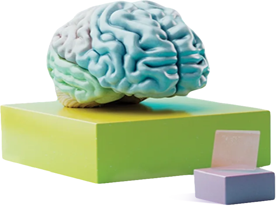 How The Patch Works With The Brain